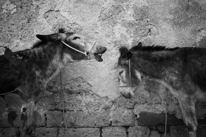 “La Tonna, Civita Di Bagnoregio 2” By Sara Sterpa