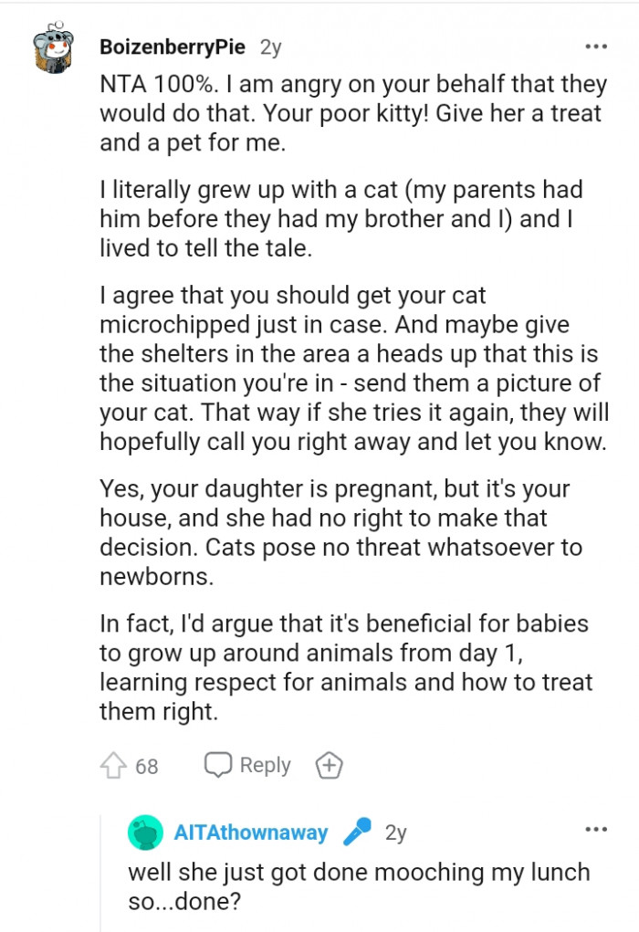 You should get your cat microchipped just in case