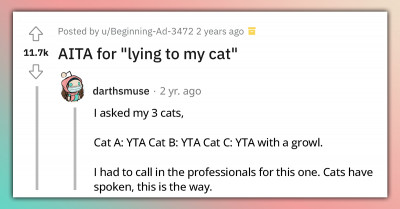 Redditor’s Story Of How He’s "Lying" To His Cat By Luring Him With Treats Causes Heated Debate Online