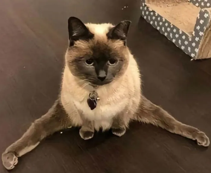 20. Didn’t stretch before the heist and now regretting everything.