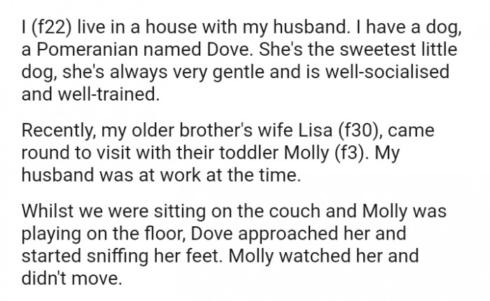 My older brother's wife came around to visit