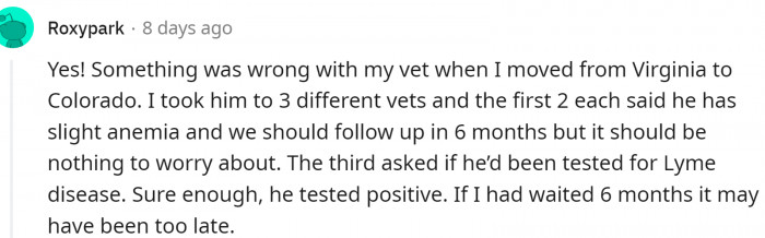 Be persistent if you see something is wrong.