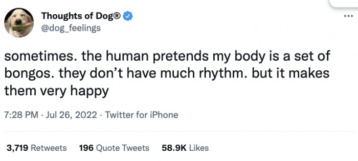 3. "As long as you're happy, hooman!"