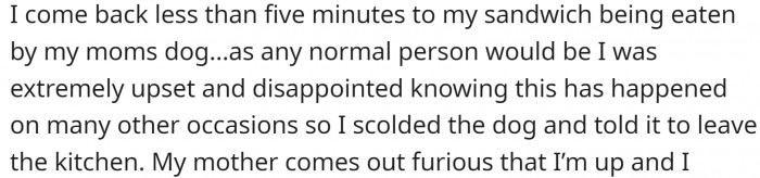 OP came back, only to discover that their sandwich was taken and eaten by her mom's dog.