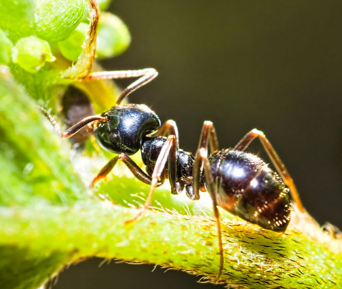 17. Sniff, sniff... Okay