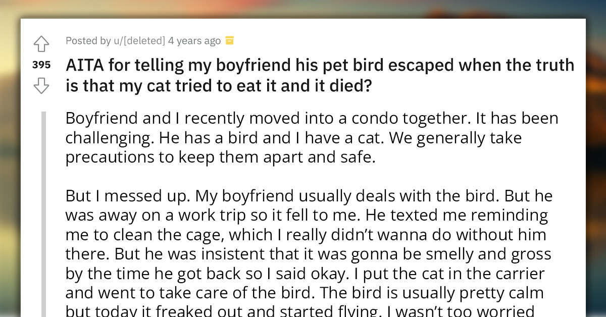 Woman's Cat Mauls And Kills BF's Bird, But She Tells Him The Bird Escaped Through An Open Window