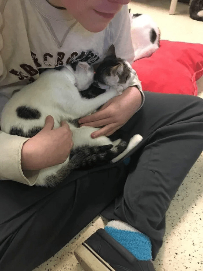 It's so good to see him bonding with these cats