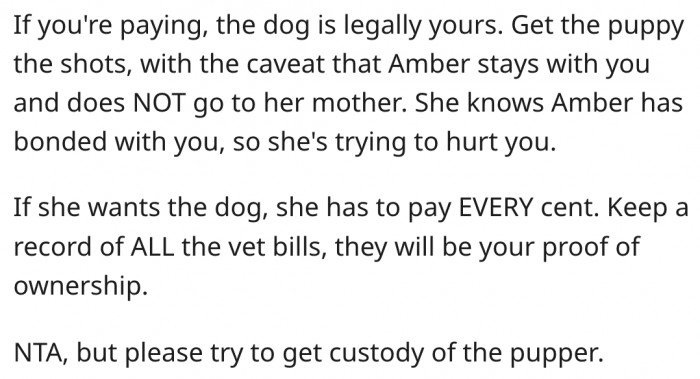 2. She only wants the dog to hurt him.