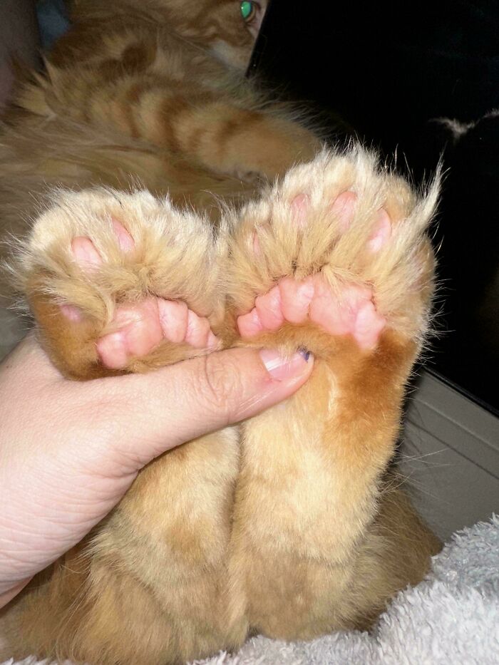 57. He’s wearing fur, but the vibe is pure spacecraft.