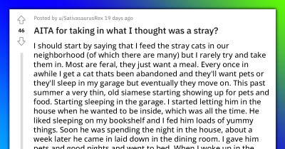 Neighbor Annoyed After Woman Takes In His Seemingly Stray And Starving Cat That Eventually Died