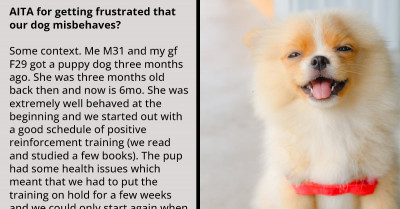 Redditor Comes Under Heated Criticism For Getting Frustrated About How His Dog Misbehaves