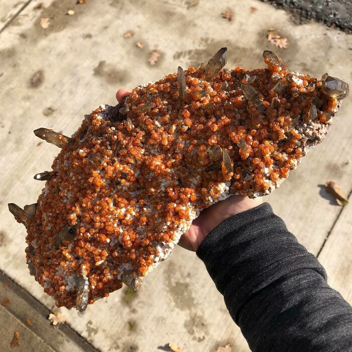 'Amazing And Rare Smoky Quartz Covered In Spessartine From China!