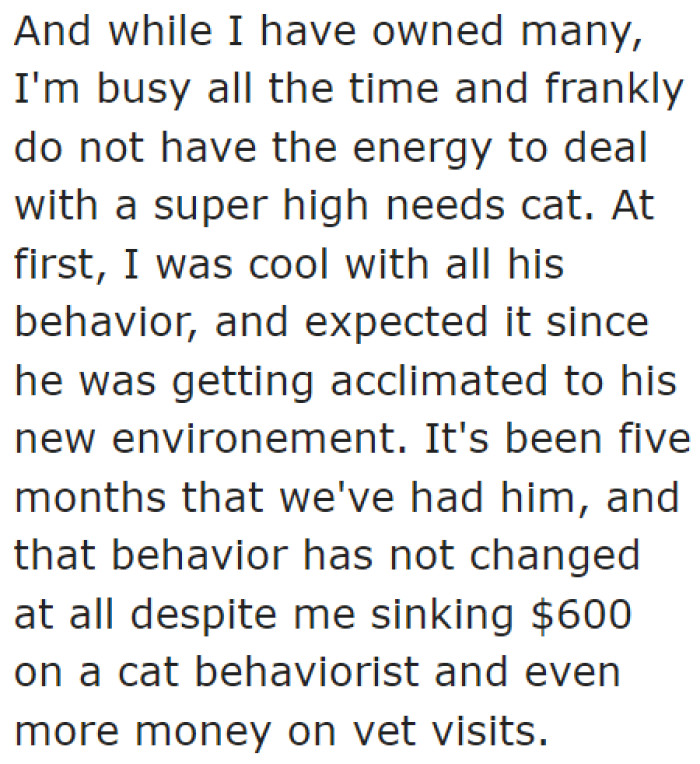 Their cat, Sammy, is a high-needs pet. He is an extremely problematic cat.