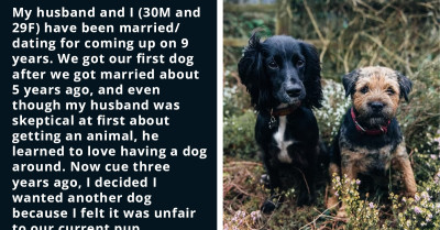 Wife Gets Another Dog Even Though Her Husband Doesn't Want One But Then Expects Him To Deal With The Dogs
