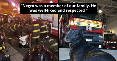 Firefighters Bid The Sweetest Farewell To Their Deceased Station Dog Who Served Them For Years, Confers A Title On Him