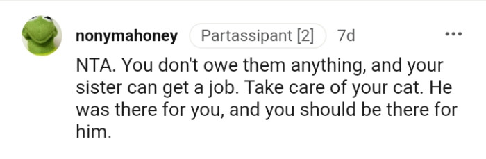 You should be there for your cat