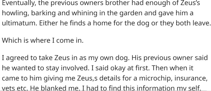OP agreed to take Zeus in as their own dog. His previous owner said he wanted to stay involved.