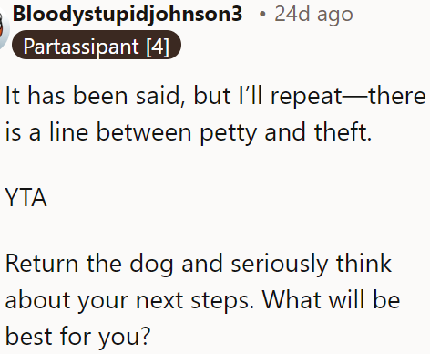 The OP should just take the dog back to her mom. Period.