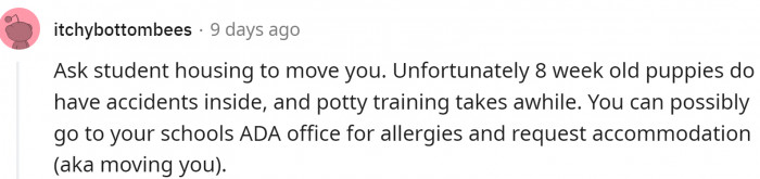 Can student housing help?