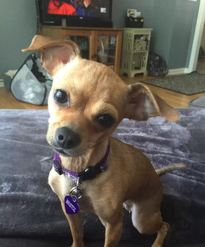 Meet Bristol, Daddy's Little Girl