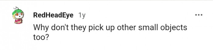 This Redditor has a question to ask, and here it goes