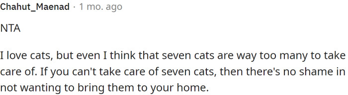 Even cat lovers say that seven cats are way too many.