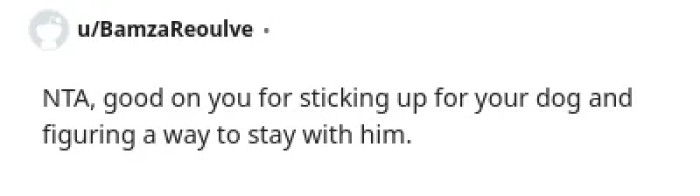 The OP taking responsibility for his dog is admirable.