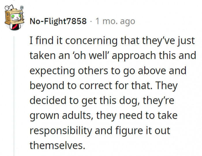 3. They should be responsible for the pet they got