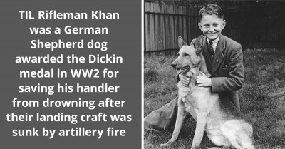 Redditor Shares "Today I Learned" Story Of A Dog Who Rescued His Handler From Drowning During The War