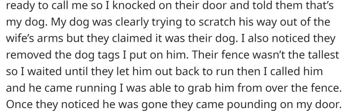 The next day, OP saw her dog through her neighbor's window. She thought they had found him and were getting ready to call her, so she knocked on their door and told them it was her dog.