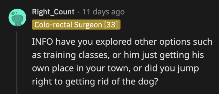 Have they tried training classes for the dog, one commenter asked
