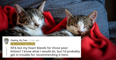 52-Year-Old Adopts Cats Believing That They Are Low Maintenance But Calls Her Estranged Kids Irresponsible For Refusing To Take Care Of Them While She's Away