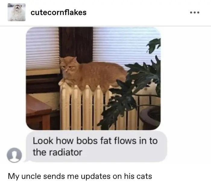 1. When uncle loves updating you about his pet and how he flows in the radiator