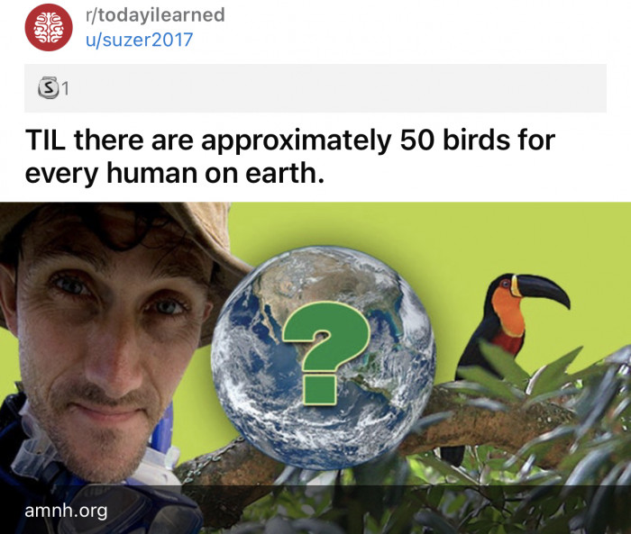 Here's the original post by Reddit user u/suzer2017: