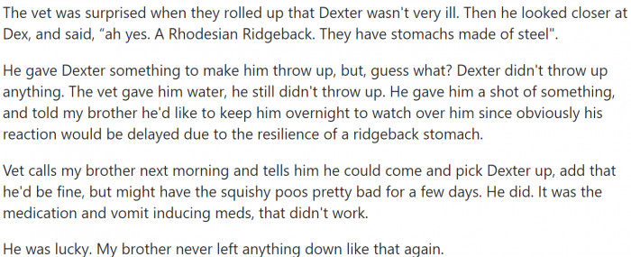 Some dogs are just lucky.