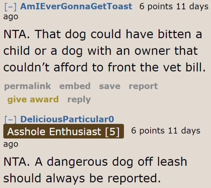 Things could've been worse. Irresponsible dog owners like the neighbor need to be reported.