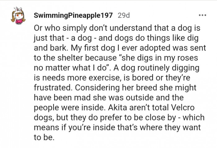 She digs in my roses no matter what I do