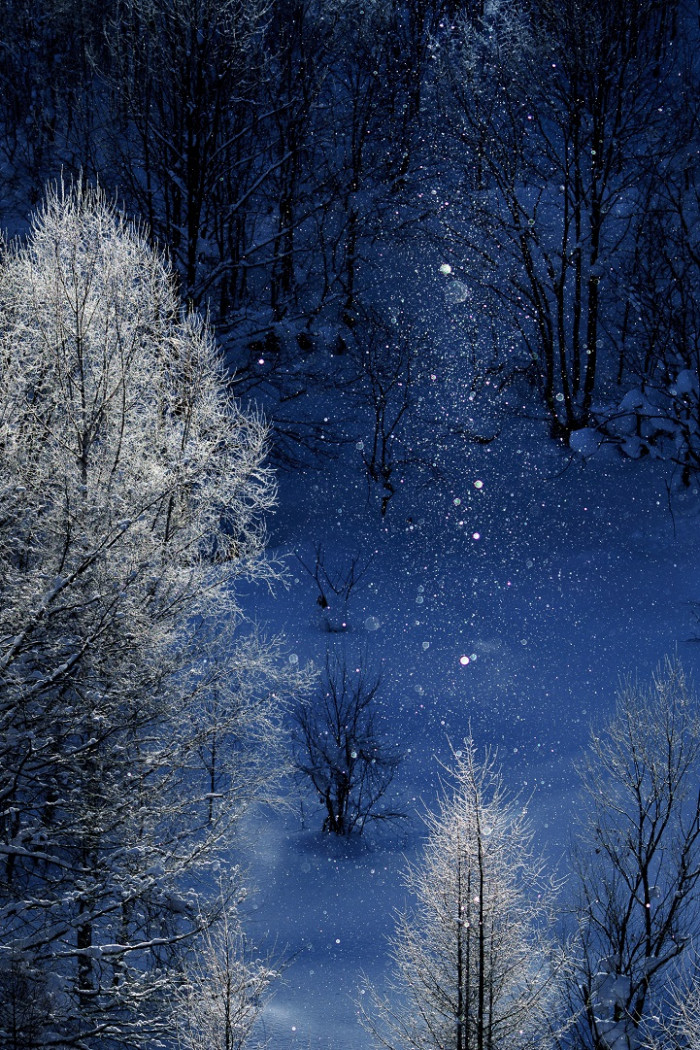 Let's step into the fantasy land...