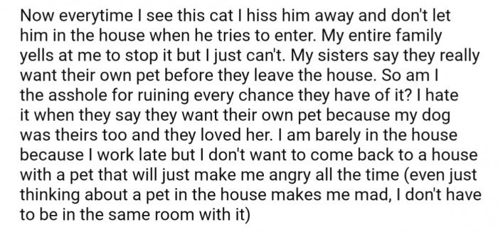 So naturally, OP decides to do whatever he can to scare the cat away and keep it from coming into their home.