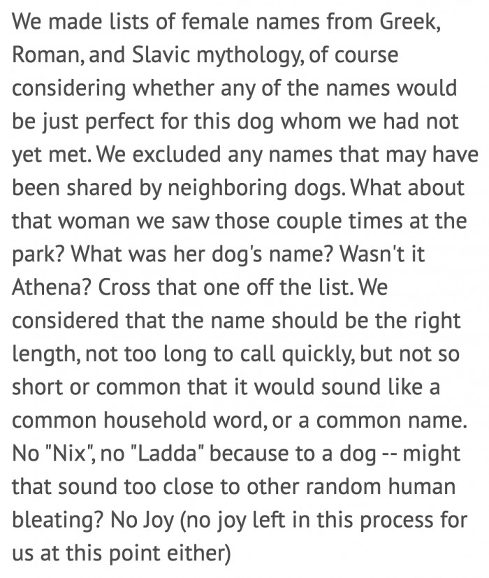 He and his wife listed some names for their new dog.