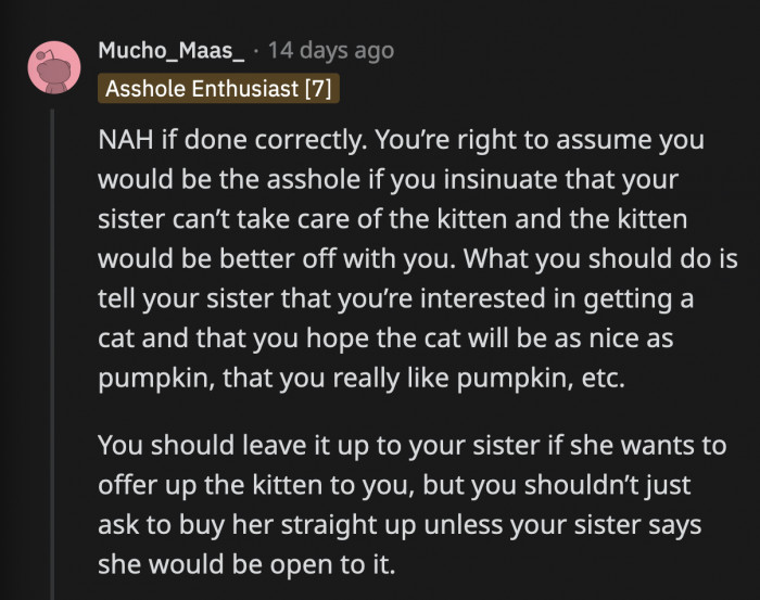 There are no real a**holes in this story. However, OP shouldn't really ask to buy Pumpkin according to this comment. OP should wait for her sister to open the discussion of rehoming Pumpkin before jumping in with an offer.