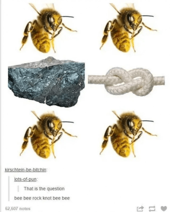 15. Bee bee rock knot bee bee - the eternal dilemma.