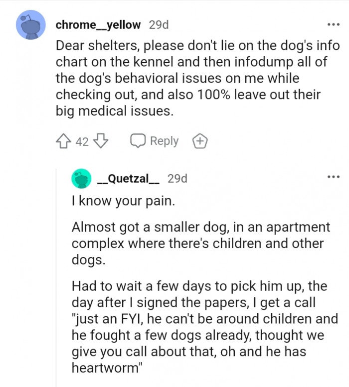 Dog shelters should not lie on the dog's info