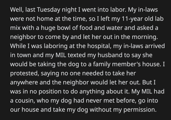 She Begged Her MIL to Reconsider Her Decision to No Avail. Kicking the Dog Out of the House Was Her Plan All Along.