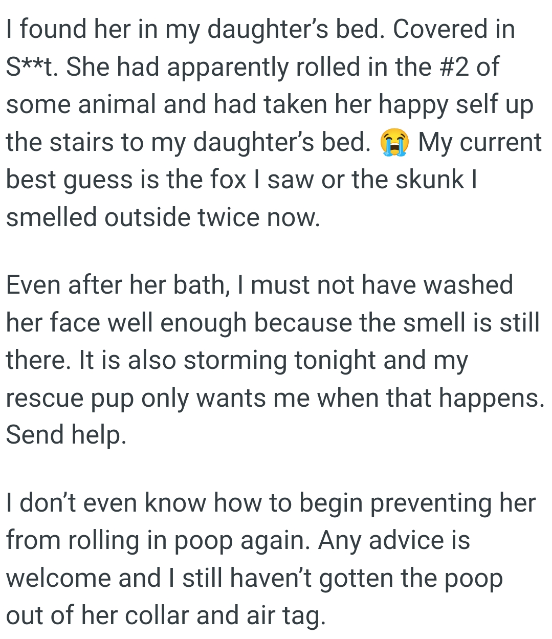 It Is Storming, and the OP's Rescue Pup Only Wants Them When That Happens