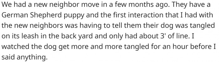 Their neighbors have a puppy, and they aren't really interested in taking care of it