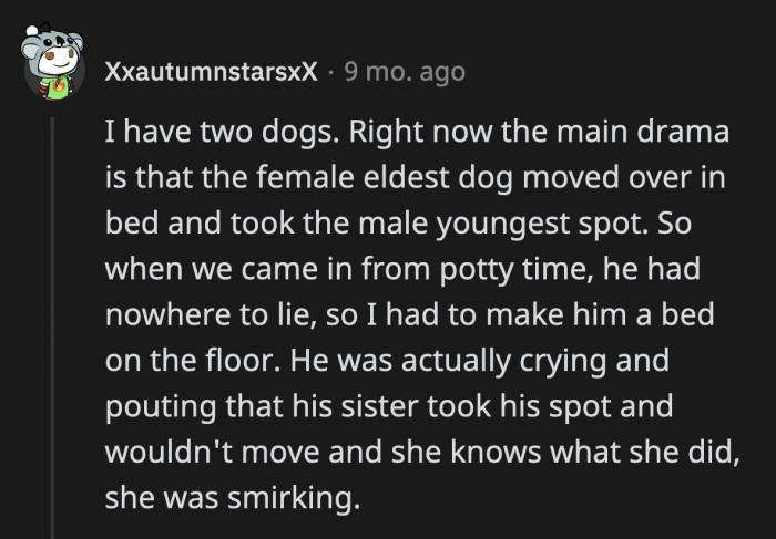 39. Petty sibling drama is not just for humans