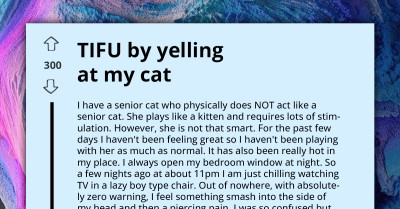 Cat's Playful Scratch Prompts Owner's Emotional Yelling; Neighbors Confuse It With Domestic Dispute