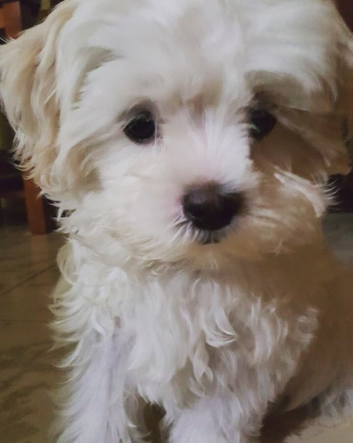 8. A list of reasons