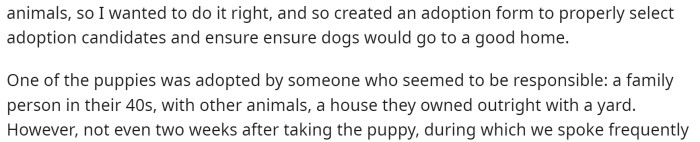 OP says they created an adoption form and did everything right to ensure the puppies went to good owners.
